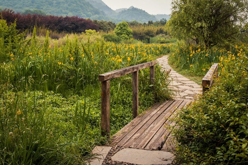 Whimsical Garden Path 2